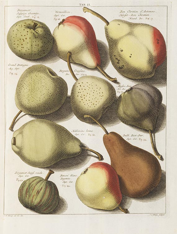 Johann Hermann Knoop - Pomologie ou description des meilleures sortes de pommes et de poires